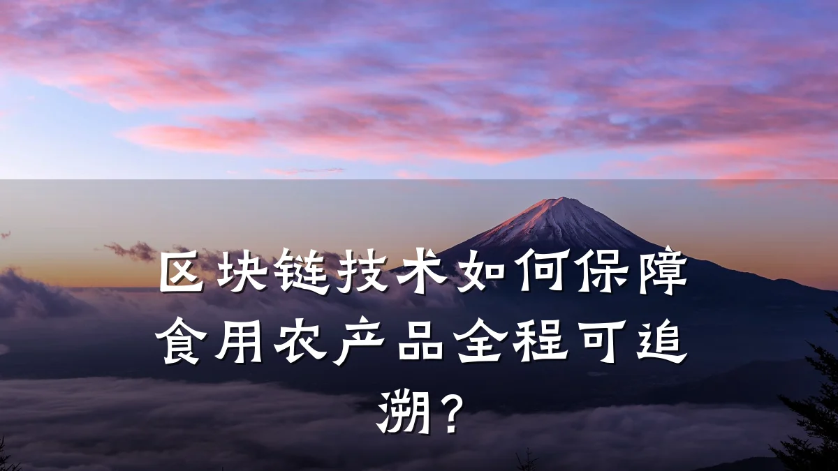 区块链技术如何保障食用农产品全程可追溯?