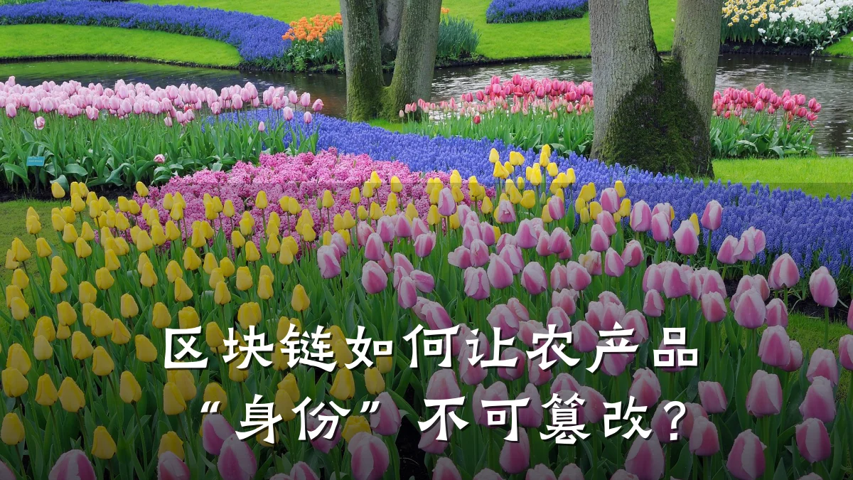 区块链如何让农产品“身份”不可篡改?