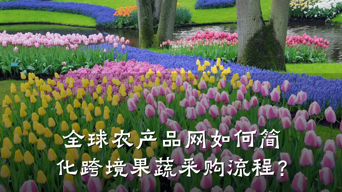 全球农产品网如何简化跨境果蔬采购流程？