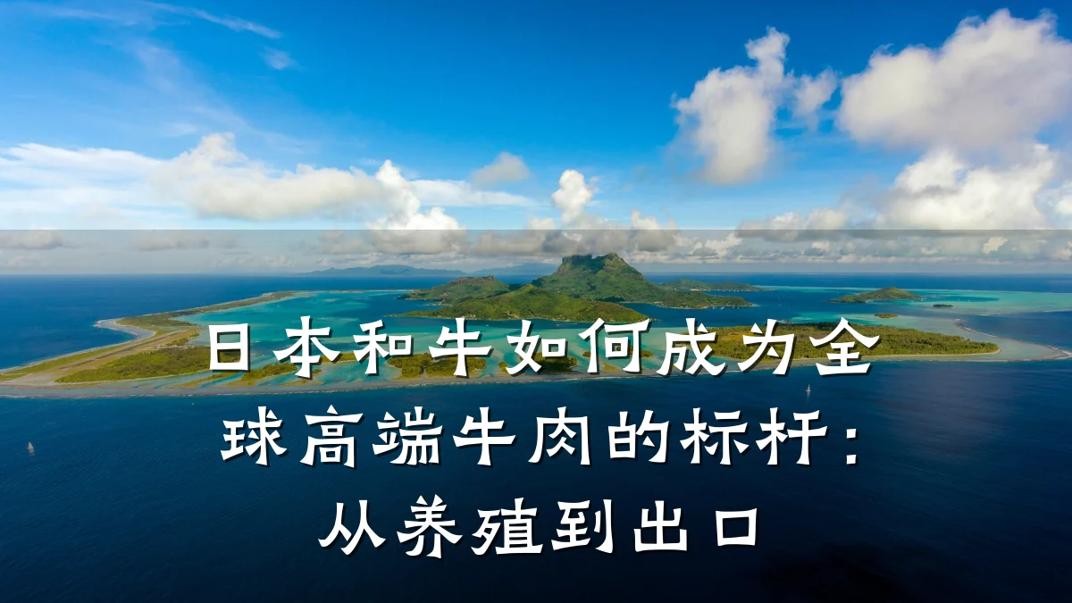 日本和牛如何成为全球高端牛肉的标杆:从养殖到出口