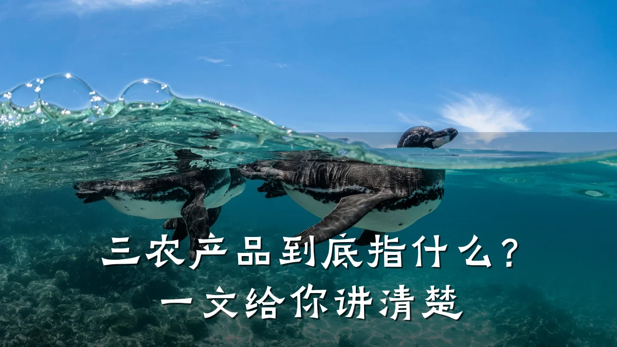 三农产品到底指什么?一文给你讲清楚