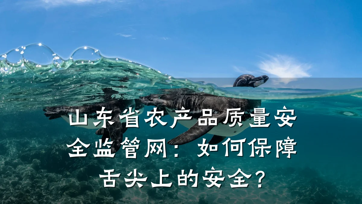 山东省农产品质量安全监管网:如何保障舌尖上的安全?