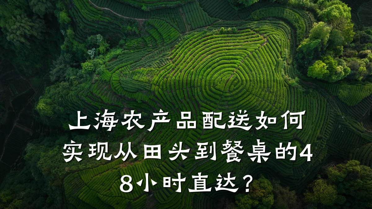 上海农产品配送如何实现从田头到餐桌的48小时直达？