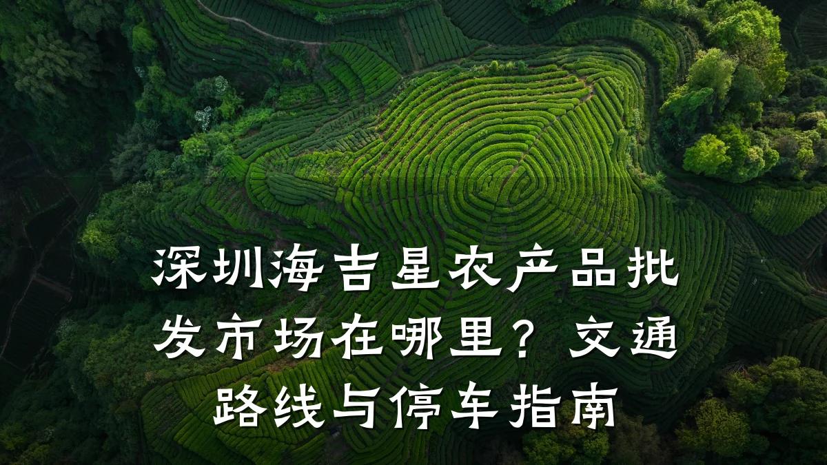 深圳海吉星农产品批发市场在哪里？交通路线与停车指南