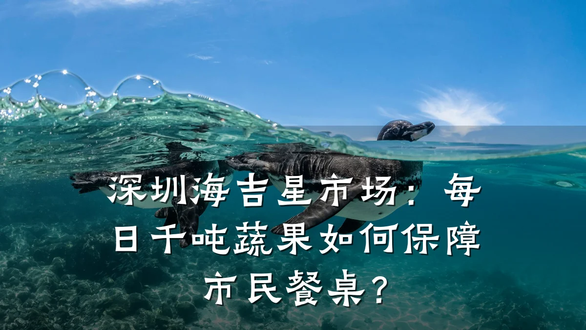 深圳海吉星市场:每日千吨蔬果如何保障市民餐桌?