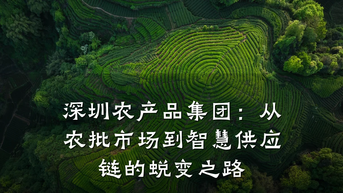深圳农产品集团:从农批市场到智慧供应链的蜕变之路