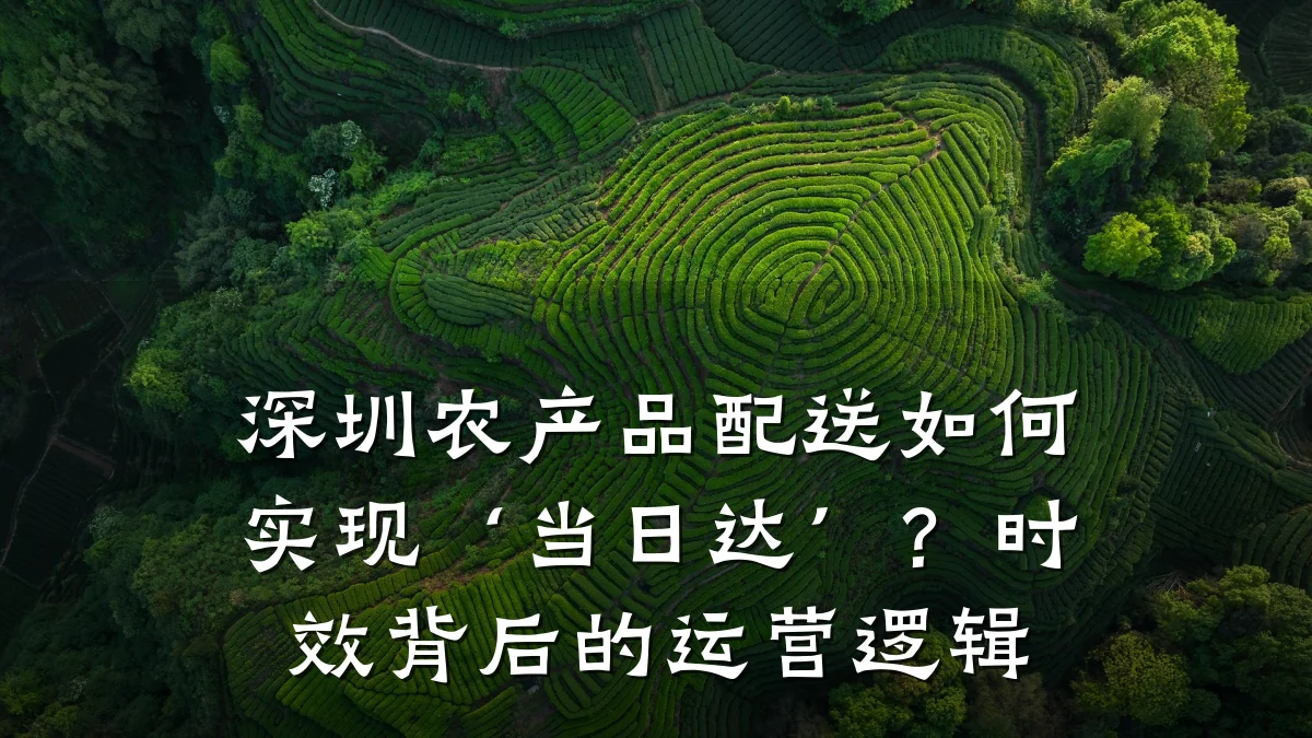 深圳农产品配送如何实现‘当日达’?时效背后的运营逻辑