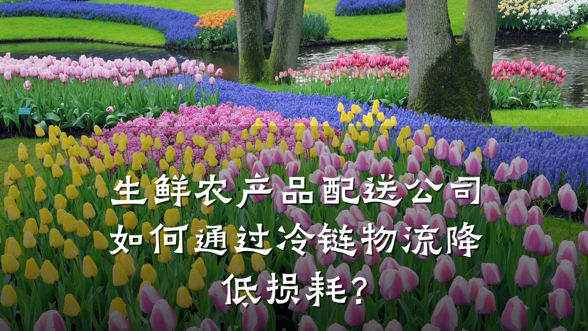 生鲜农产品配送公司如何通过冷链物流降低损耗？