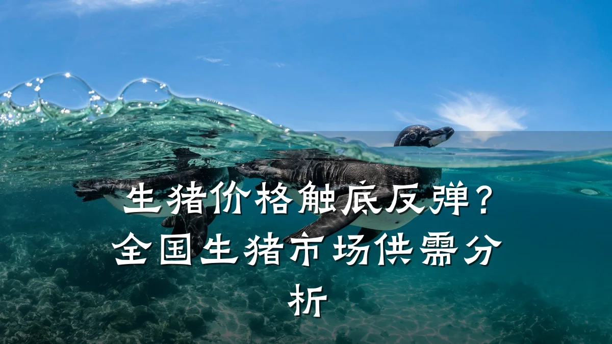 生猪价格触底反弹?全国生猪市场供需分析