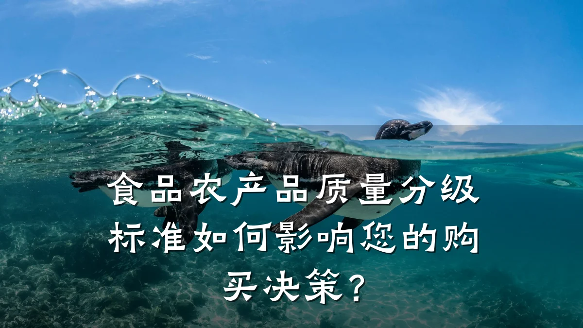 食品农产品质量分级标准如何影响您的购买决策?