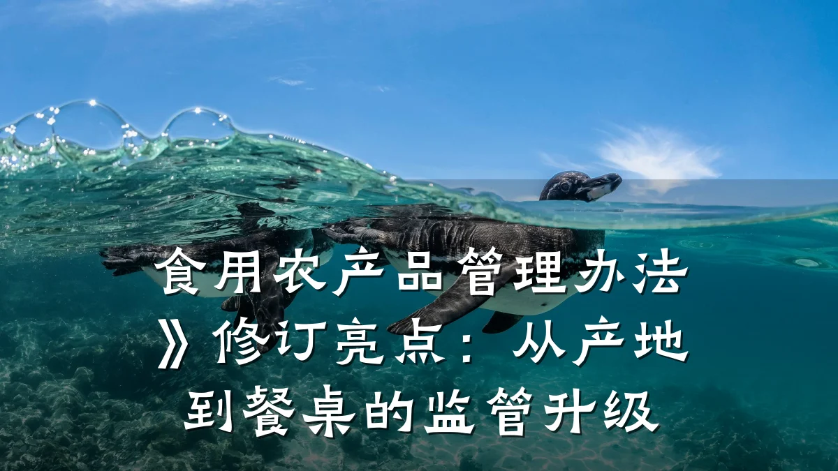 食用农产品管理办法》修订亮点:从产地到餐桌的监管升级