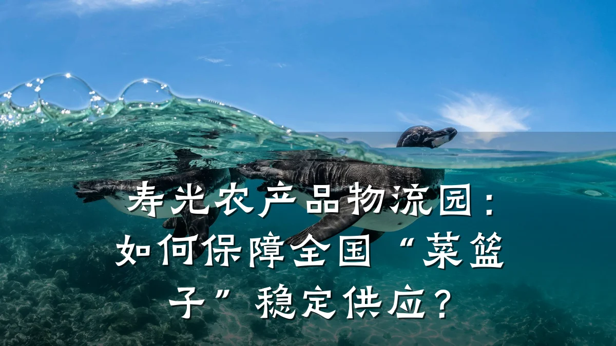 寿光农产品物流园:如何保障全国“菜篮子”稳定供应?