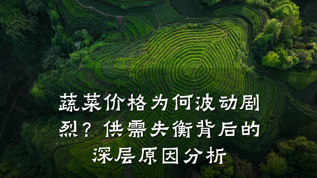蔬菜价格为何波动剧烈?供需失衡背后的深层原因分析