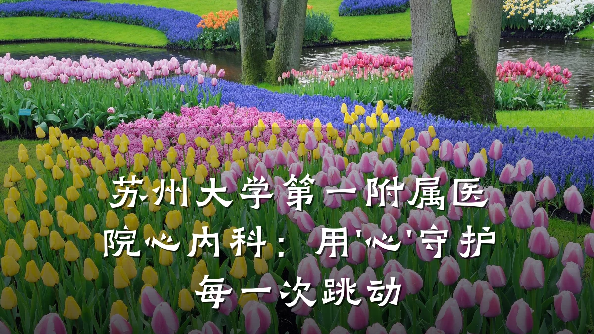 苏州大学第一附属医院心内科:用'心'守护每一次跳动