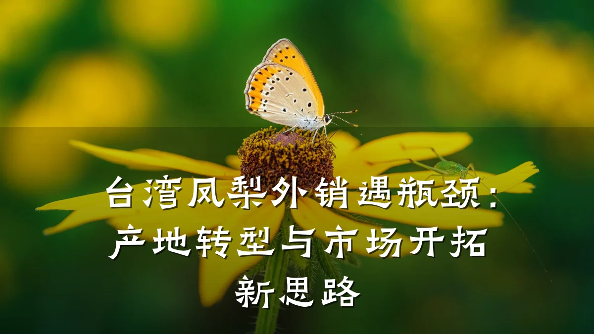 台湾凤梨外销遇瓶颈:产地转型与市场开拓新思路