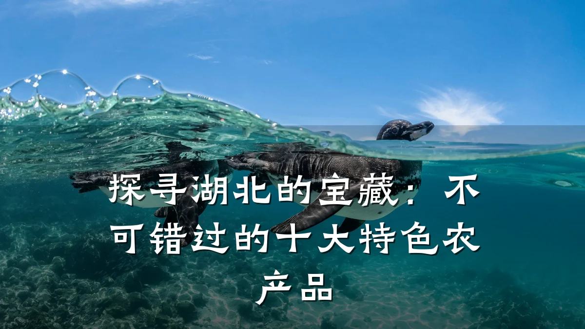 探寻湖北的宝藏：不可错过的十大特色农产品