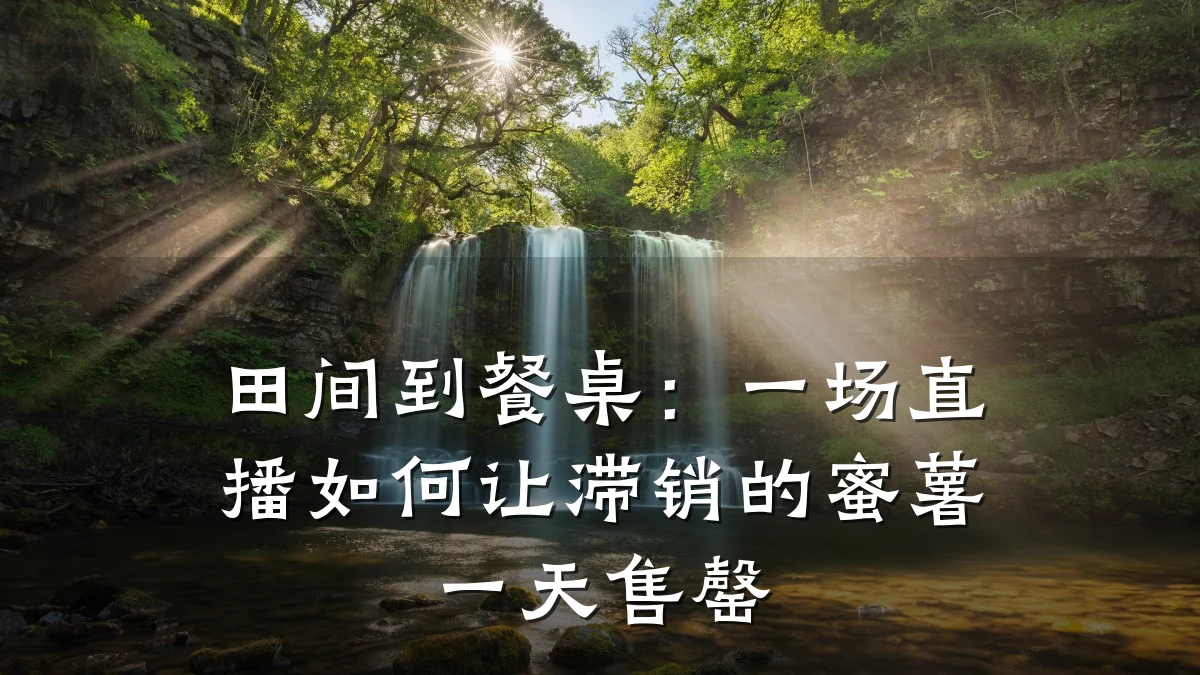 田间到餐桌:一场直播如何让滞销的蜜薯一天售罄