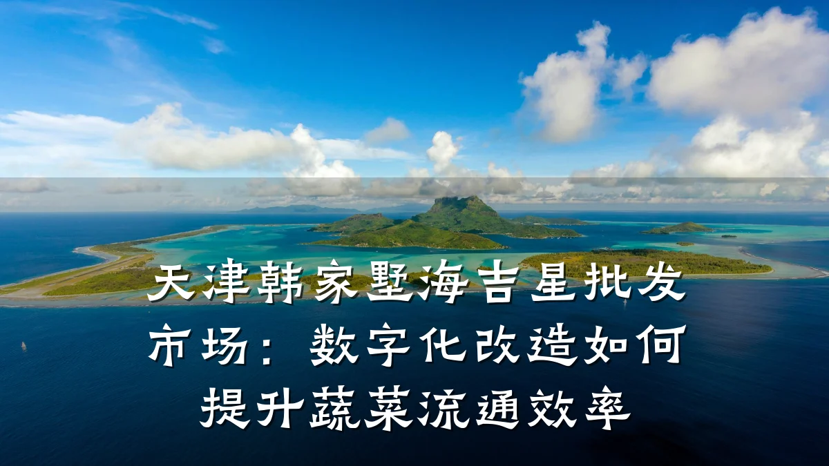 天津韩家墅海吉星批发市场:数字化改造如何提升蔬菜流通效率
