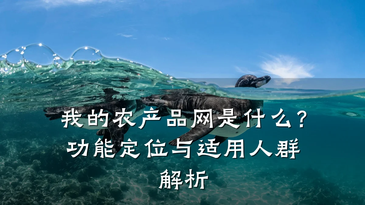 我的农产品网是什么？功能定位与适用人群解析