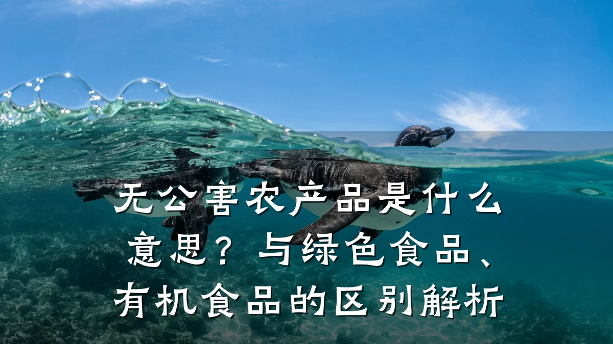 无公害农产品是什么意思?与绿色食品、有机食品的区别解析