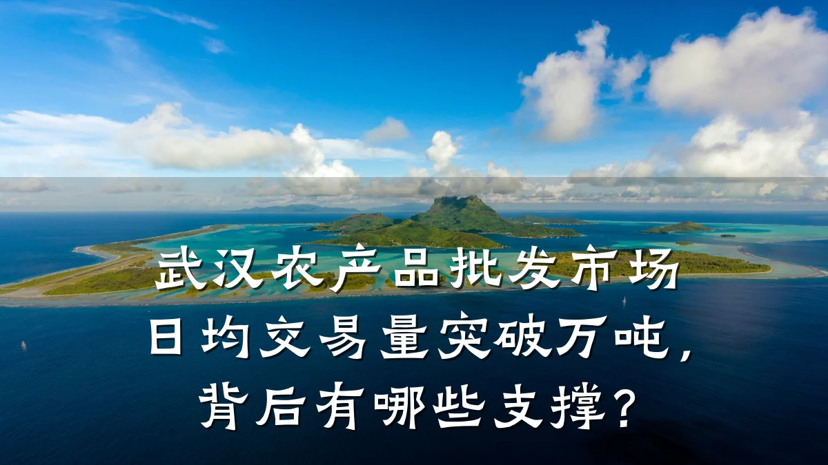 武汉农产品批发市场日均交易量突破万吨,背后有哪些支撑?