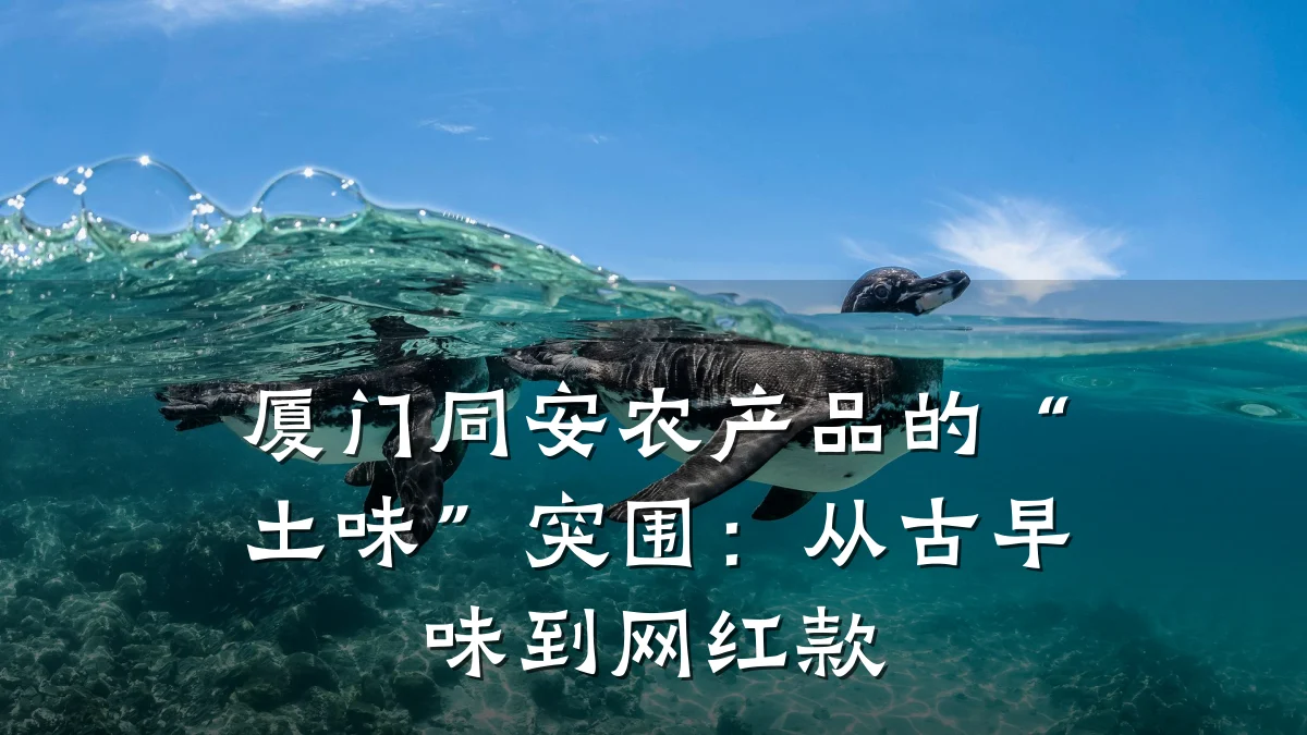 厦门同安农产品的“土味”突围:从古早味到网红款