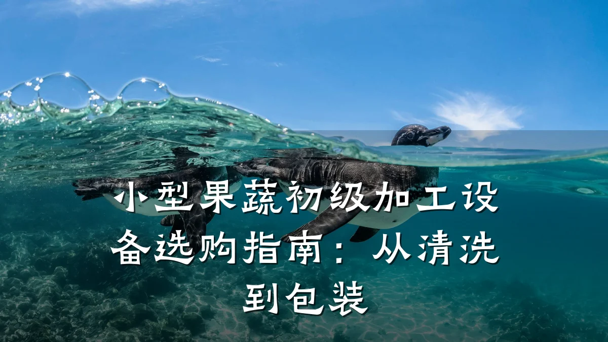 小型果蔬初级加工设备选购指南:从清洗到包装