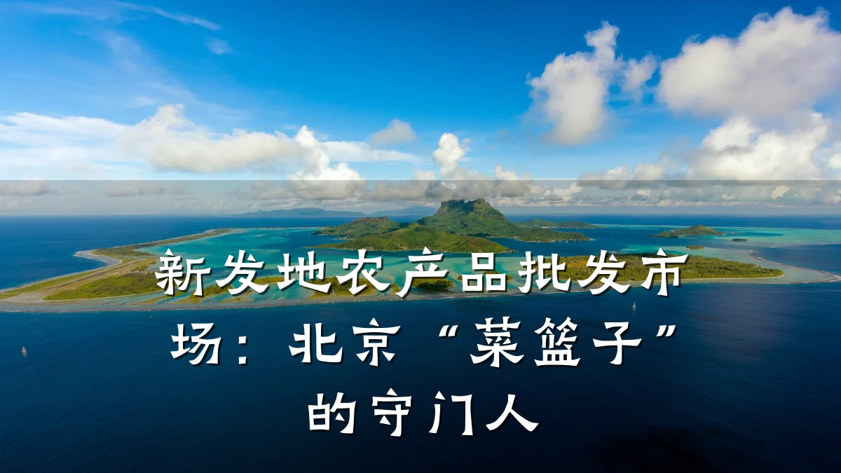 新发地农产品批发市场：北京“菜篮子”的守门人