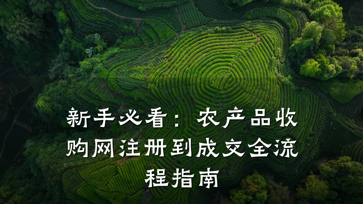 新手必看:农产品收购网注册到成交全流程指南