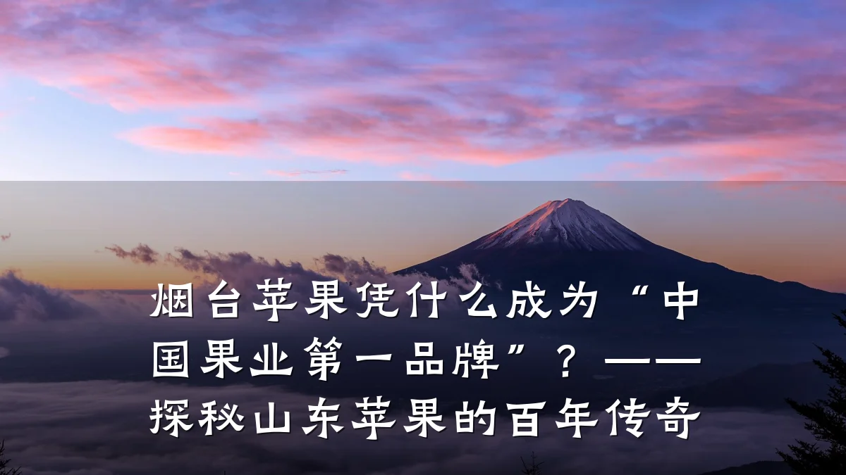 烟台苹果凭什么成为“中国果业第一品牌”?——探秘山东苹果的百年传奇