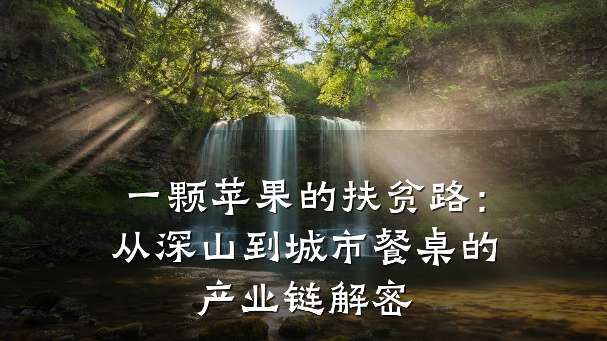一颗苹果的扶贫路:从深山到城市餐桌的产业链解密