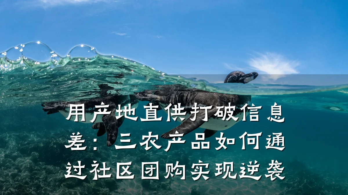用产地直供打破信息差:三农产品如何通过社区团购实现逆袭