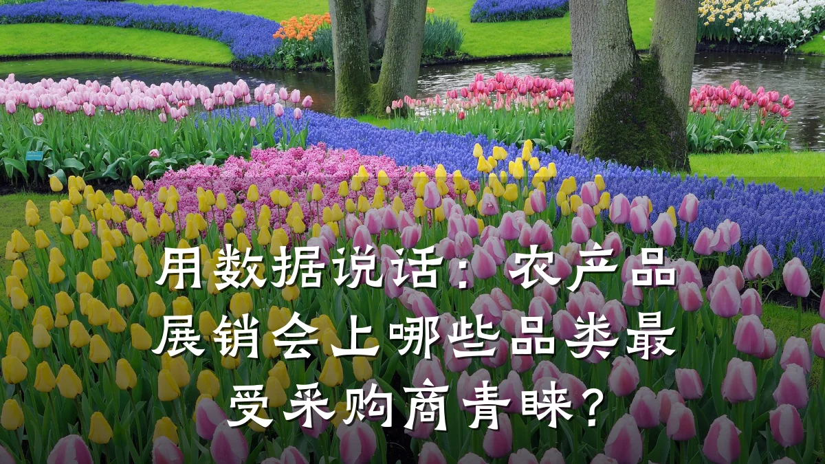 用数据说话：农产品展销会上哪些品类最受采购商青睐？