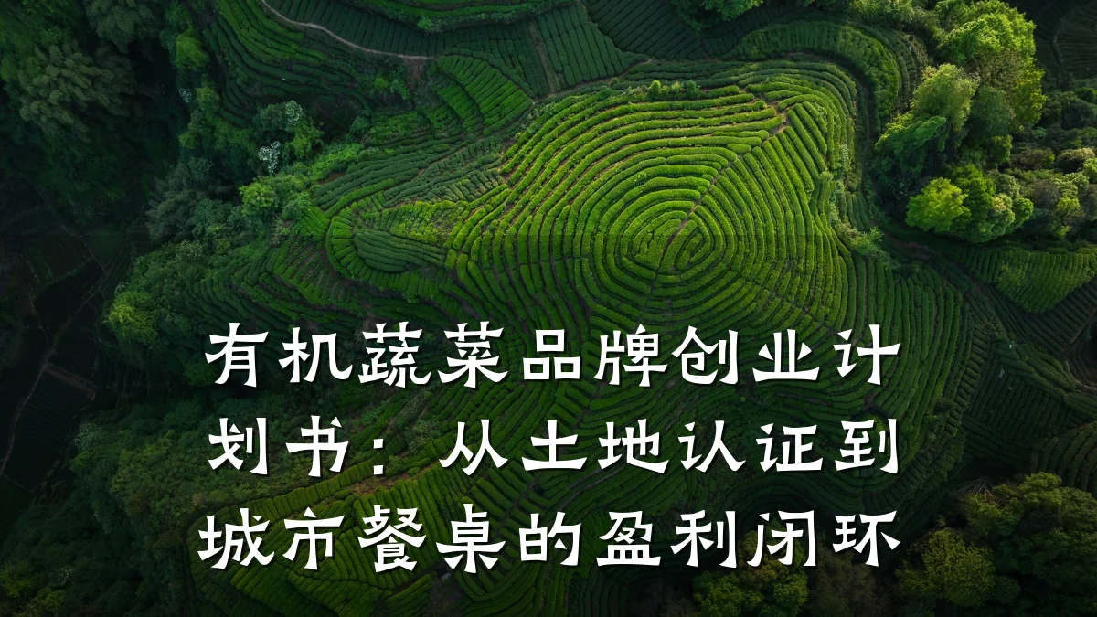 有机蔬菜品牌创业计划书:从土地认证到城市餐桌的盈利闭环