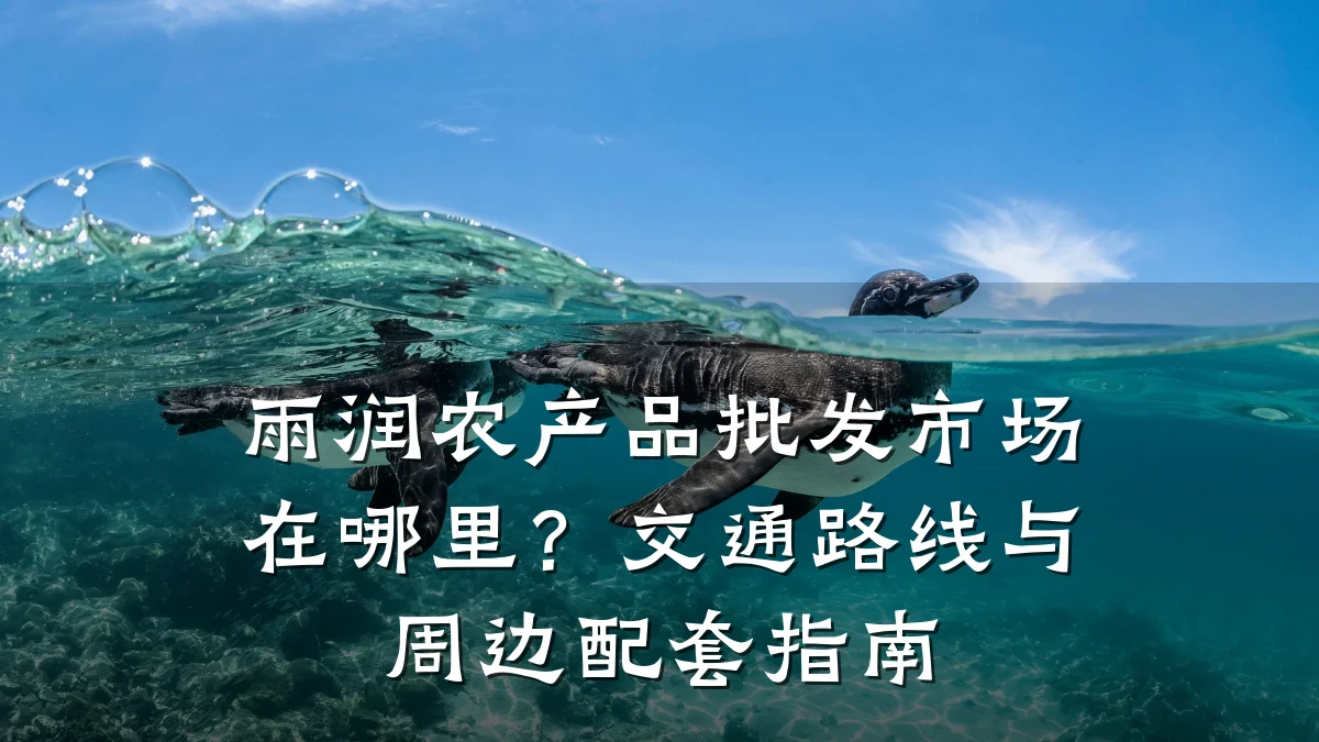 雨润农产品批发市场在哪里?交通路线与周边配套指南