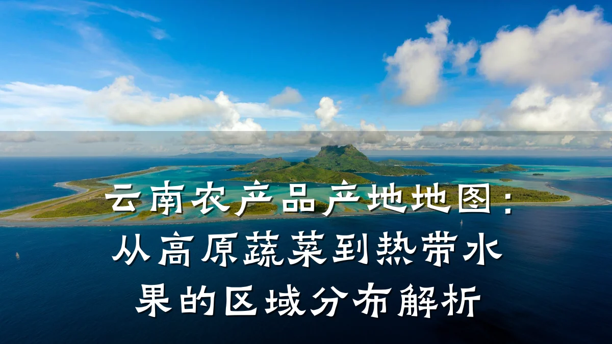 云南农产品产地地图:从高原蔬菜到热带水果的区域分布解析