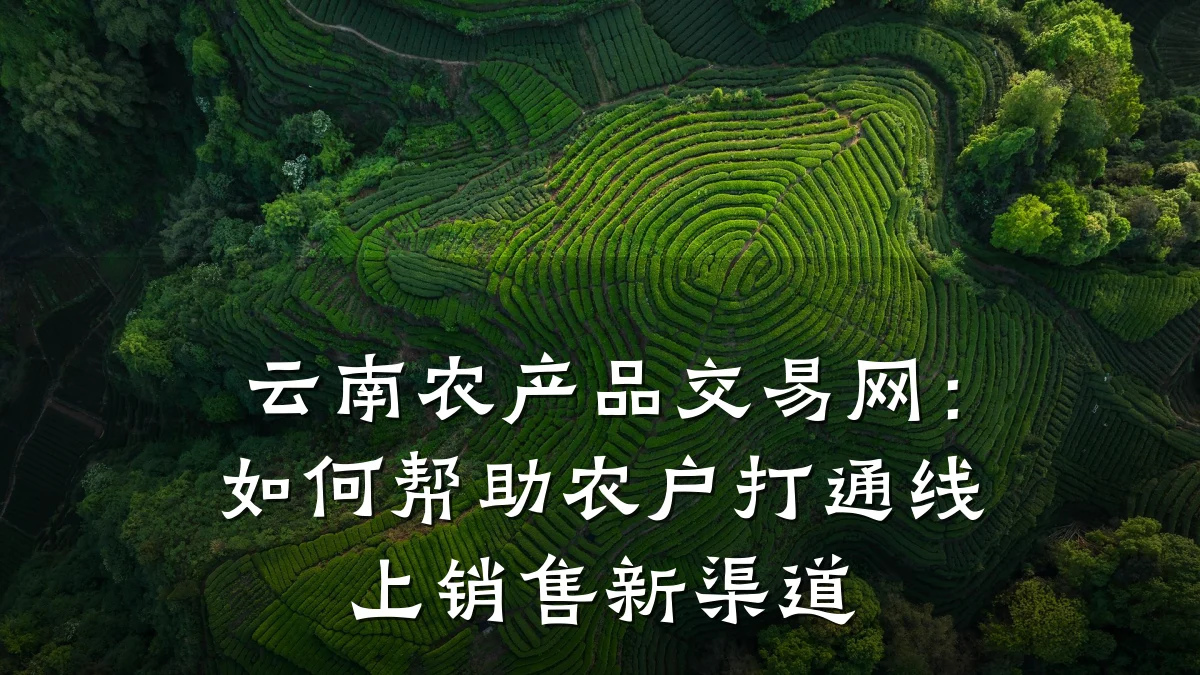 云南农产品交易网:如何帮助农户打通线上销售新渠道