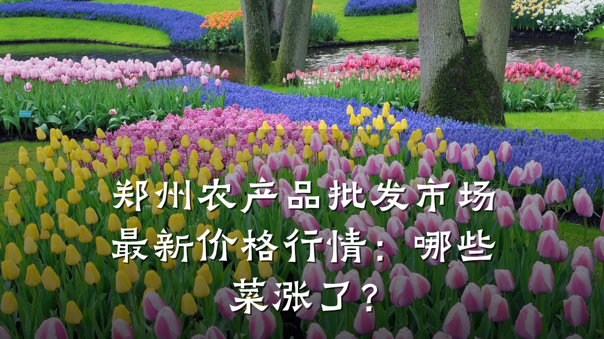 郑州农产品批发市场最新价格行情:哪些菜涨了?