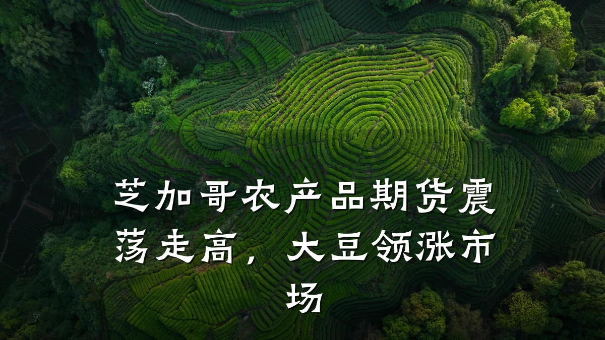 芝加哥农产品期货震荡走高,大豆领涨市场