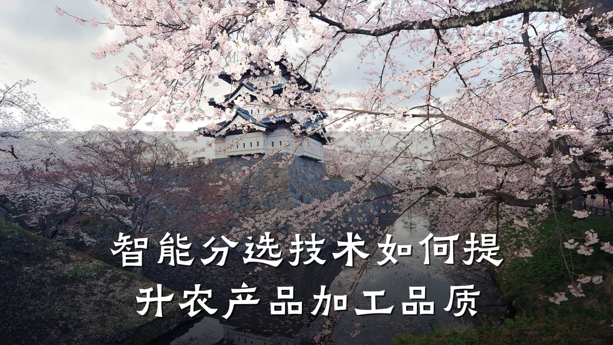 智能分选技术如何提升农产品加工品质