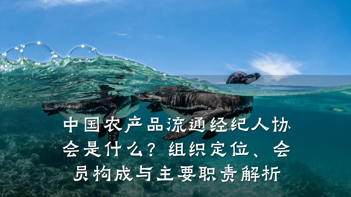 中国农产品流通经纪人协会是什么?组织定位、会员构成与主要职责解析