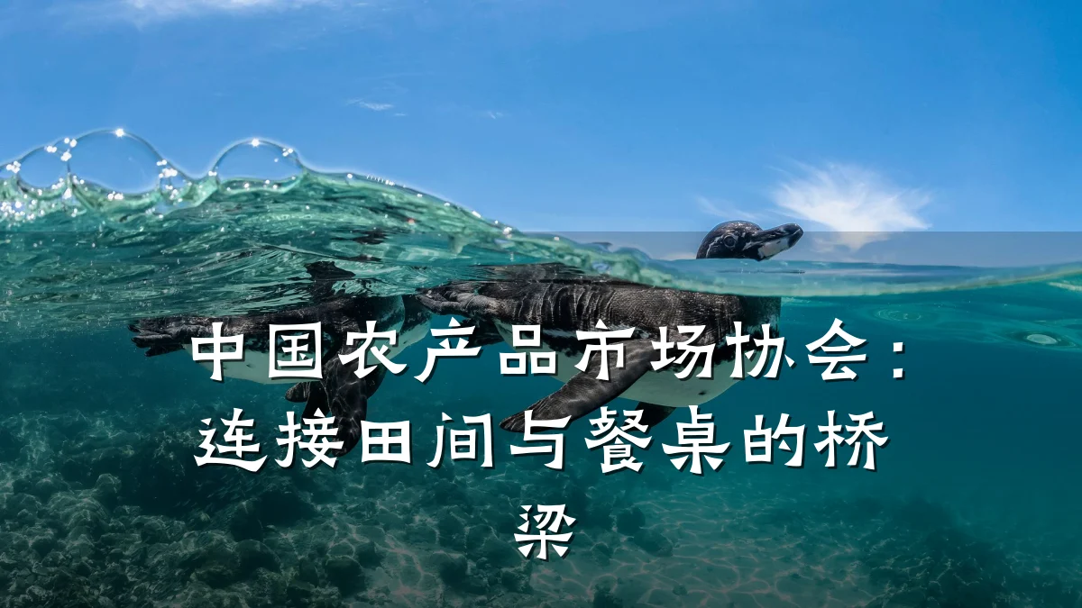 中国农产品市场协会:连接田间与餐桌的桥梁