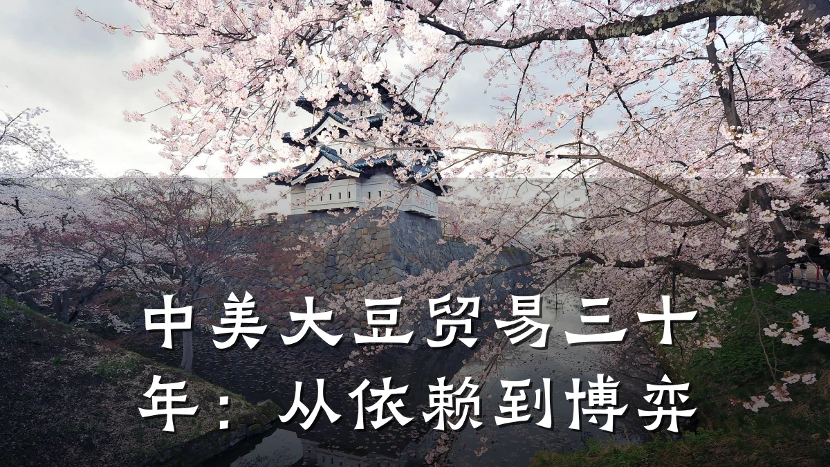 中美大豆贸易三十年:从依赖到博弈