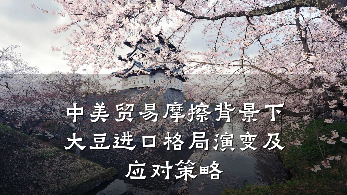 中美贸易摩擦背景下大豆进口格局演变及应对策略