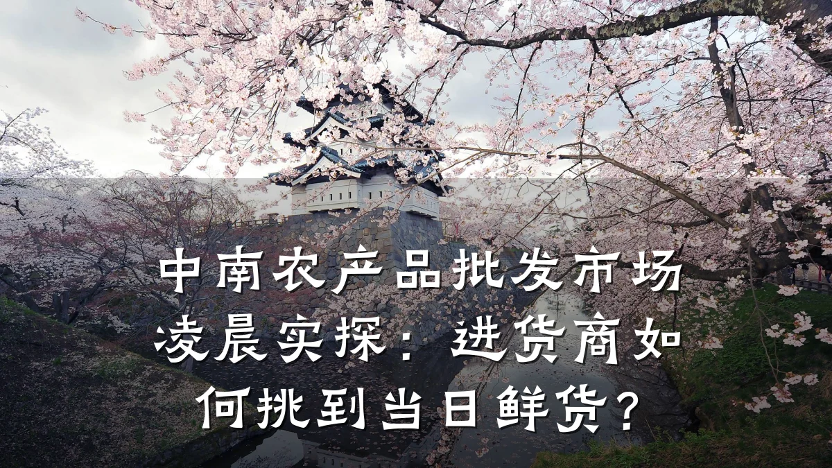 中南农产品批发市场凌晨实探:进货商如何挑到当日鲜货?