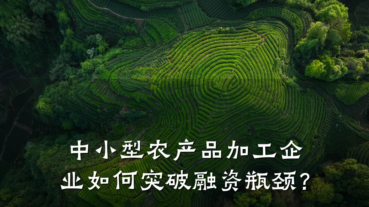 中小型农产品加工企业如何突破融资瓶颈?