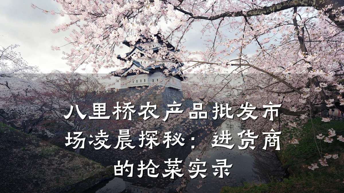 八里桥农产品批发市场凌晨探秘:进货商的抢菜实录