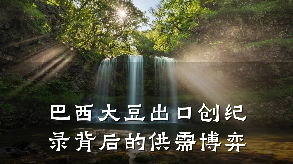 巴西大豆出口创纪录背后的供需博弈