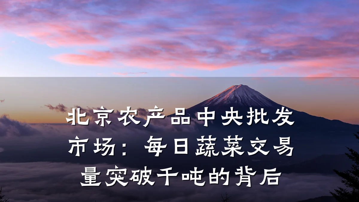 北京农产品中央批发市场:每日蔬菜交易量突破千吨的背后