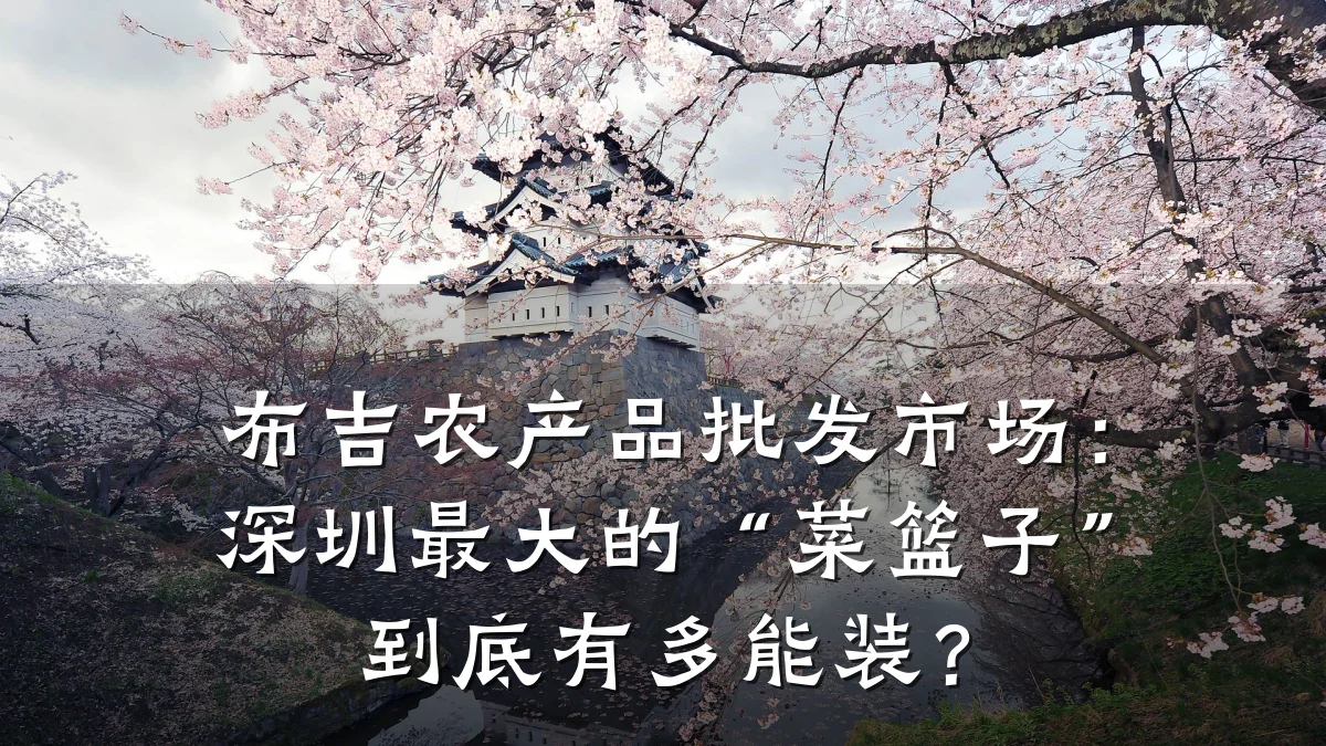 布吉农产品批发市场:深圳最大的“菜篮子”到底有多能装?